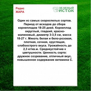 Редис ЖАРА (Зеленый исток)  5г.