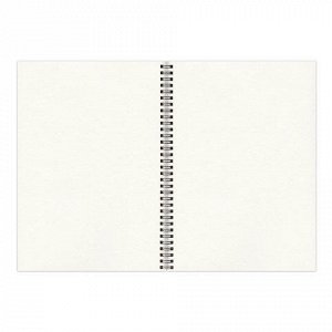 Альбом-скетчбук, белая бумага, А4, 210х297мм, 150г/м2, 30л, гребень, BRAUBERG ART CLASSIC, 128949