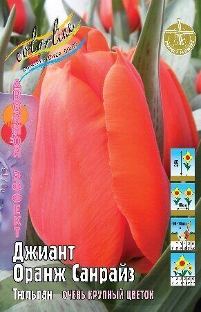 Тюльпан Джиант Оранж Санрайз 14/16 5шт (Колорлайн)