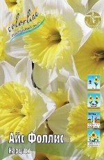 Нарцисс Айс Фоллис 12/14 5шт (Колорлайн)