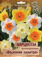 Нарцисс Весенняя палитра Крупнокорончатая Смесь 12/14 15шт (Поиск)