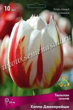 Тюльпан Хэппи Дженерейшн 11/12 10шт (Поиск)