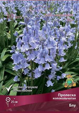 Пролеска Блу колокольчатая 7/8 10шт (Поиск)