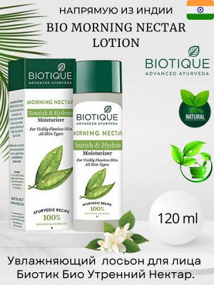 Biotique Лосьон увлажняющий Био Morning Nectar, 120 мл