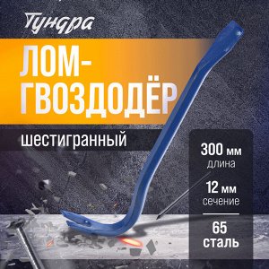Лом-гвоздодер ТУНДРА, 65 сталь, шестигранный, 300 х 12 мм