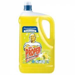 Средство для мытья пола и стен 5л MR. PROPER (Мистер Пропер)