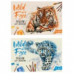 Альбом для рисования 40л., А4, на скрепке ArtSpace &quot;Wild cats&quot;