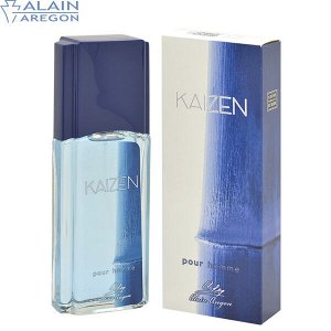 Мужская туалетная вода KAIZEN POUR HOMME 95мл