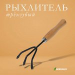 Рыхлитель, длина 25 см, деревянная ручка