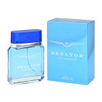Мужская туалетная вода SENATOR EAU FRAICHE 100мл