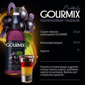 Сироп Чёрная смородина Fruit Innovations Gourmix 1000мл