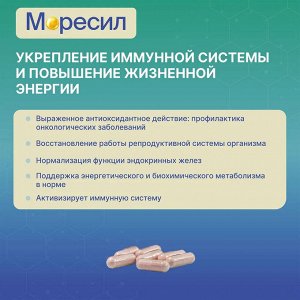 Комплекс МОРЕСИЛ, БАД с экстрактом трепанга для иммунитета против усталости для усиления половой функции 30 капсул по 410мг в б