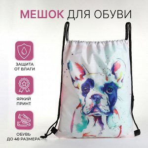 Мешок для обуви на шнурке, с принтом, размер 32x0.5x40 см, белый/розовый/разноцветный