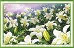 Набор для вышивания