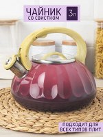 Чайник 3,0л со свистком индукционное дно  двухцветный