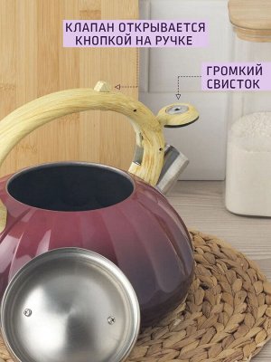 Чайник 3,0л со свистком индукция двухцветный