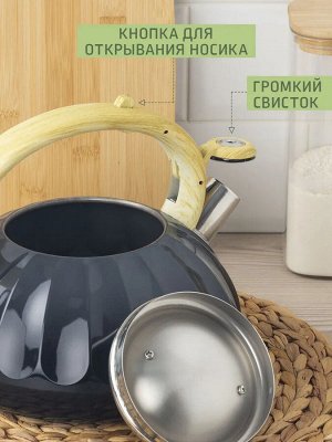 Чайник 3,0л со свистком индукция двухцветный