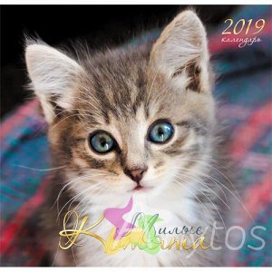 Календарь на 2019 год, 290х560 мм, 6 листов "Домашние любимцы. Милый котенок" КС61904