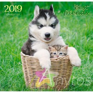 Календарь на 2019 год, 290х560 мм, 6 листов "Домашние любимцы. Забавные друзья" КС61905