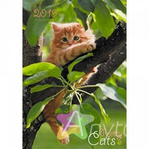Календарь на 2019 год "Домашние любимцы. Котенок на дереве" КПВМ1905