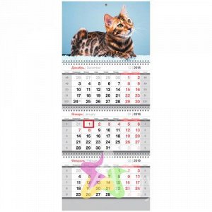 Календарь кварт. 3 бл. на 3 гр. OfficeSpace "Полосатый котёнок", с бегунком, 2019 г. 259264