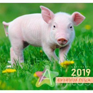 Календарь на 2019 год "Символ года. Свинка на траве" КС121901