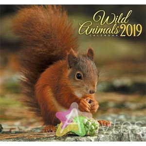 Календарь на 2019 год "Животные. Рыжая белка" КС121908