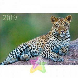 Календарь на 2019 год "Дикие животные. Изящный леопард" ККТ1910