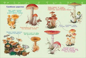 В лесу (Энциклопедия для детского сада)