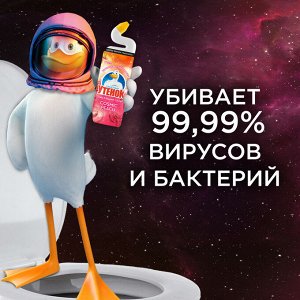 Туалетный утенок  Гель Космический Персик  800мл