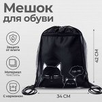 Мешок для обуви «Коты» (с карманом) 42x34 см