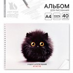 Альбом для рисования 40 листов на пружине А4 «1 сентября:Черный пушистик»