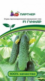 Семена Огурец партенокарпический Гуннар F1 5 шт