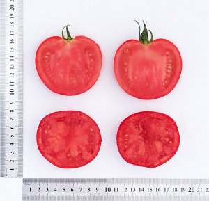 ПАРТНЕР Томат Деметра F1 ( 2-ной пак.) / Гибриды томата с массой плода 100-250 г
