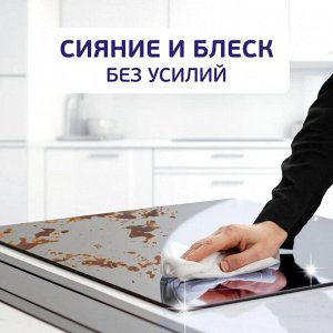 Мистер Пропер Спрей для удаления жира "Сила и скорость Апельсин" 450 мл