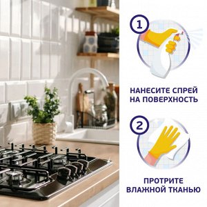 Мистер Пропер Спрей для удаления жира "Сила и скорость Апельсин" 450 мл