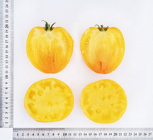ПАРТНЕР Томат Желтая Империя F1 ( 2-ной пак.) / Гибриды биф-томатов с массой плода свыше 250 г