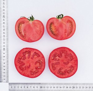 ПАРТНЕР Томат Кастельяно F1 ( 2-ной пак.) / Гибриды биф-томатов с массой плода свыше 250 г