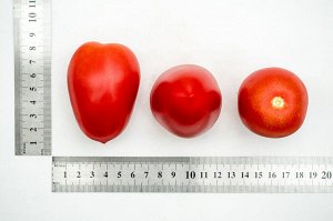 ПАРТНЕР Томат Марселон F1 ( 2-ной пак.) / Гибриды томата с массой плода 100-250 г