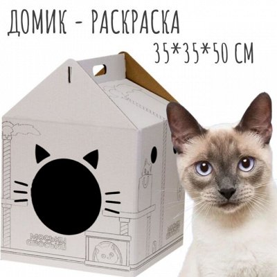 Для кошек домик-раскраска 350 руб