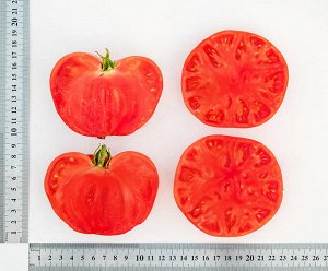 ПАРТНЕР Томат Скворец F1 ( 2-ной пак.) / Гибриды томата с крупными плодами