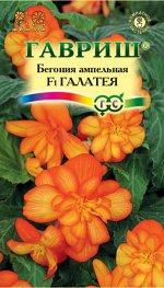 Бегония Галатея F1 клубневая амп. гранул. 4 шт. пробирка