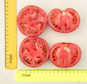 ПАРТНЕР Томат Эволюция F1 ( 2-ной пак.) / Гибриды биф-томатов с массой плода свыше 250 г
