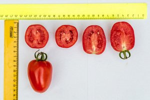 ПАРТНЕР Томат Янтарь F1 ( 2-ной пак.) / Гибриды томата с необычной формой плодов