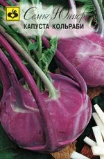 Капуста кольраби Виолета