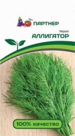 Укроп Аллигатор