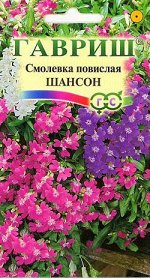 Смолевка повислая Шансон