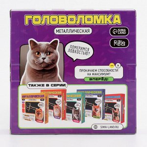 Головоломка металлическая «Саймон»