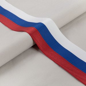 Лента триколор 80мм 1м С2903Г17
