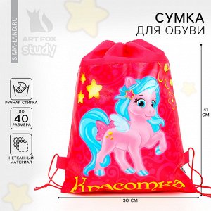 Мешок для обуви «Красотка» непромокаемое полотно 41?30 см